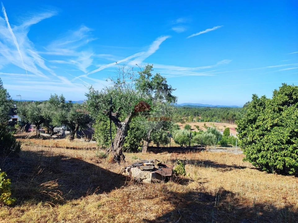 Moradia T1 para Venda em Proença-A-Nova e Peral Foto 22