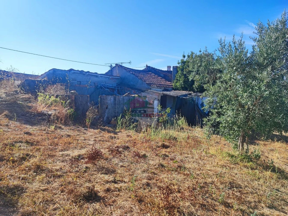 Moradia T1 para Venda em Proença-A-Nova e Peral Foto 33