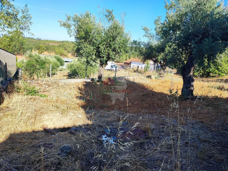 Moradia T1 para Venda em Proença-A-Nova e Peral Foto 13