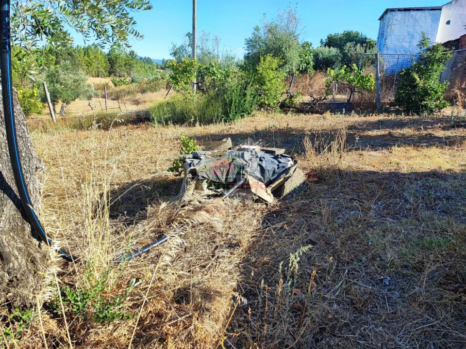 Moradia T1 para Venda em Proença-A-Nova e Peral Foto 19