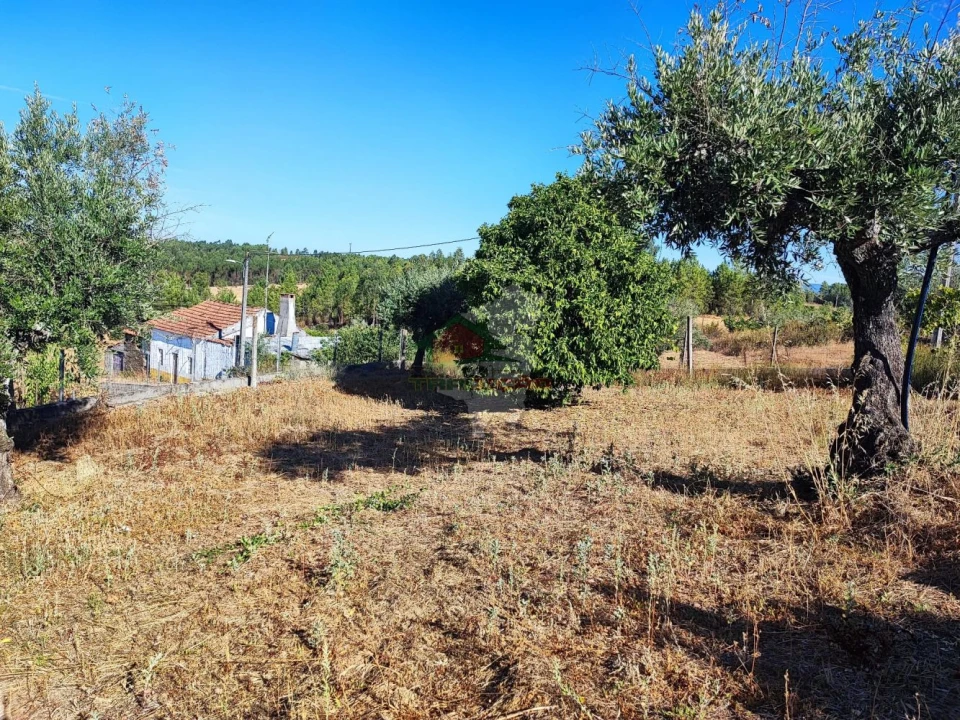 Moradia T1 para Venda em Proença-A-Nova e Peral Foto 17