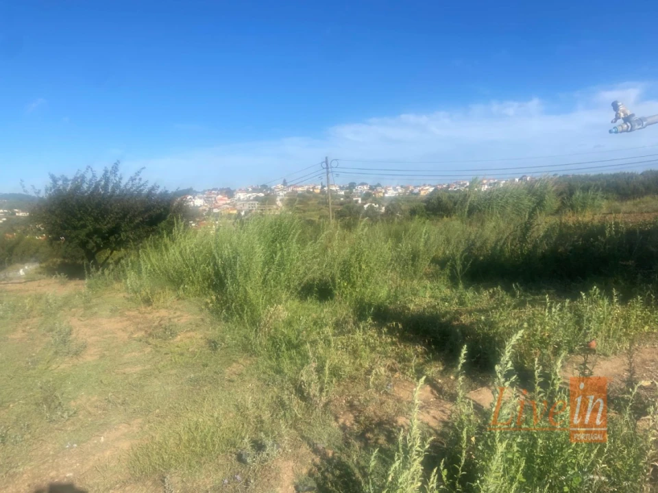 Armazém para Venda em Ericeira Foto 4