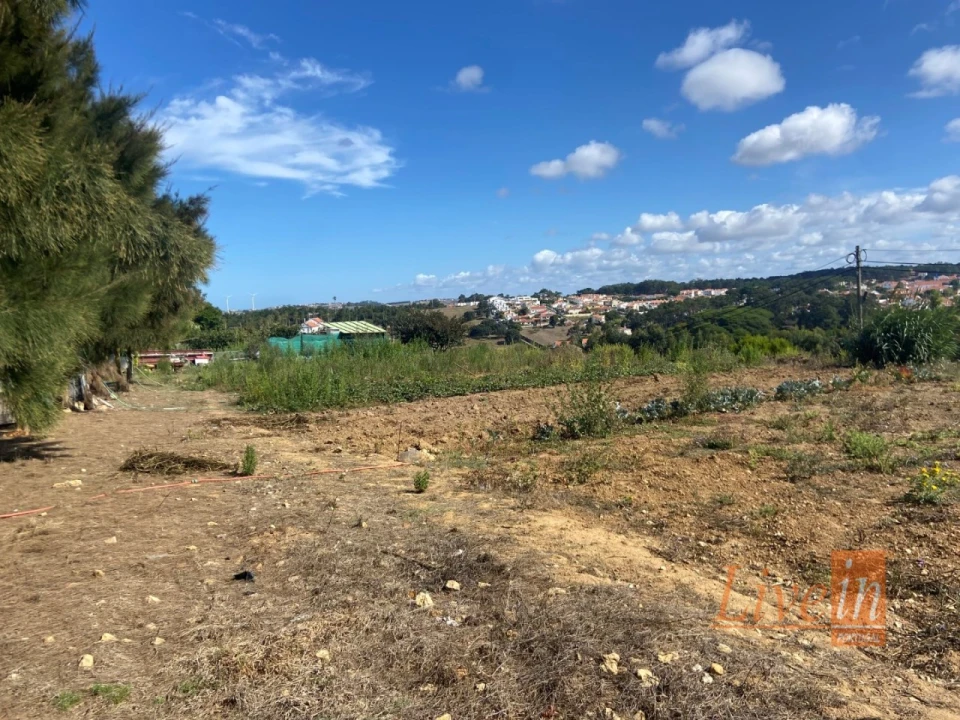 Armazém para Venda em Ericeira Foto 7