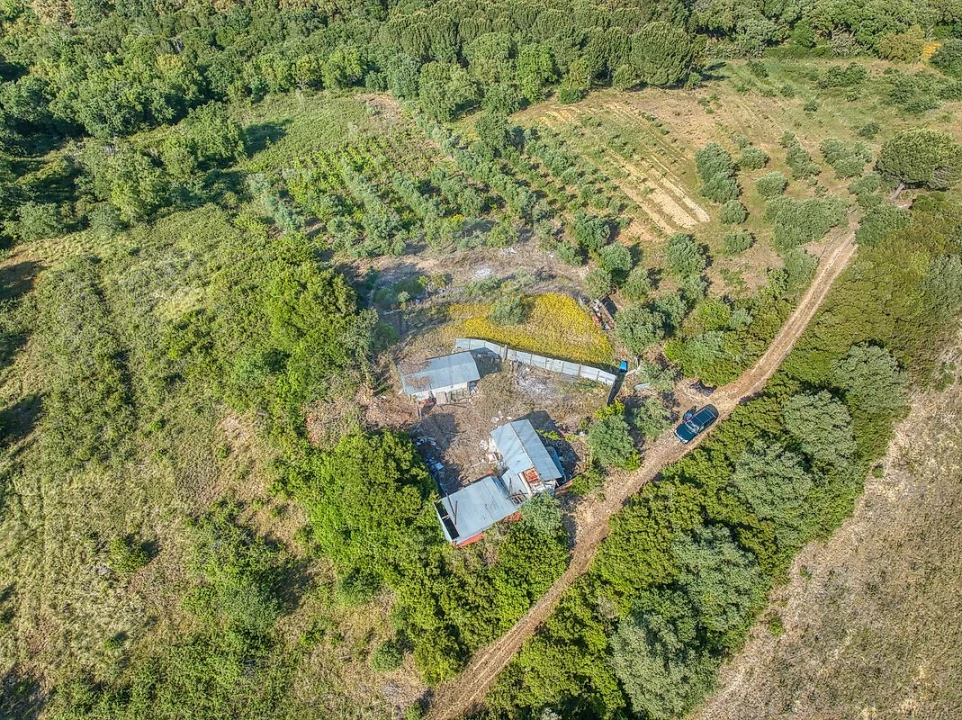 Terreno para Venda em Manique do Intendente, Vila Nova de São Pedro e Maçussa Foto 4