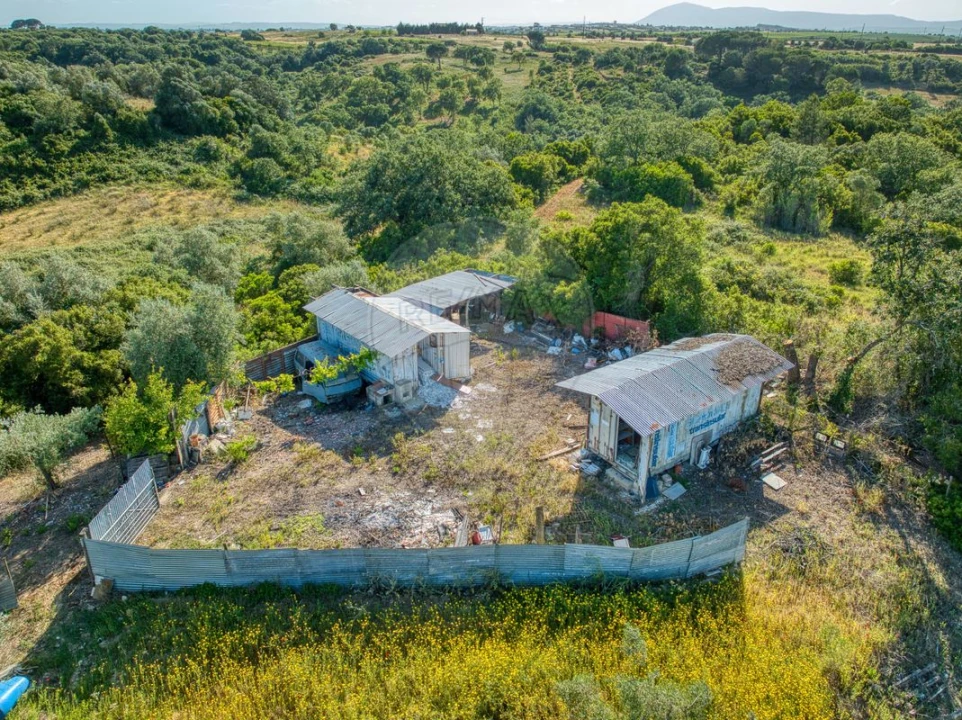 Terreno para Venda em Manique do Intendente, Vila Nova de São Pedro e Maçussa Foto 5