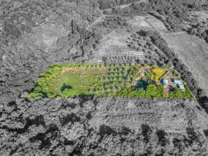 Terreno para Venda em Manique do Intendente, Vila Nova de São Pedro e Maçussa Foto 1