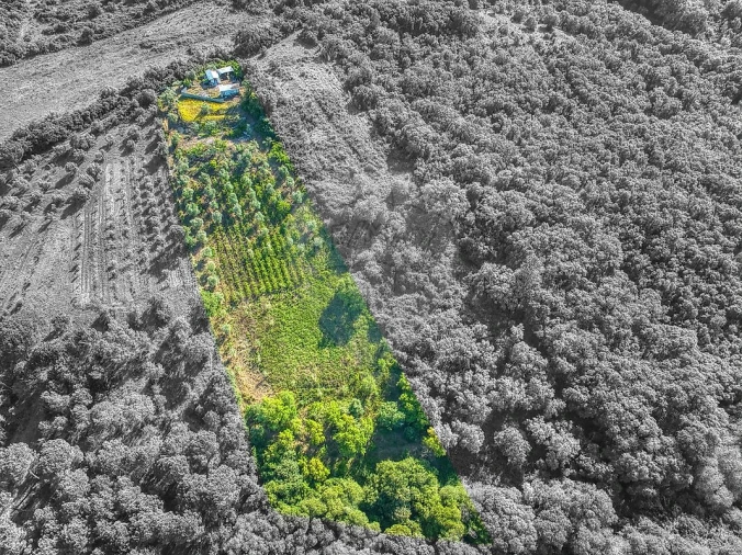 Terreno para Venda em Manique do Intendente, Vila Nova de São Pedro e Maçussa Foto 2