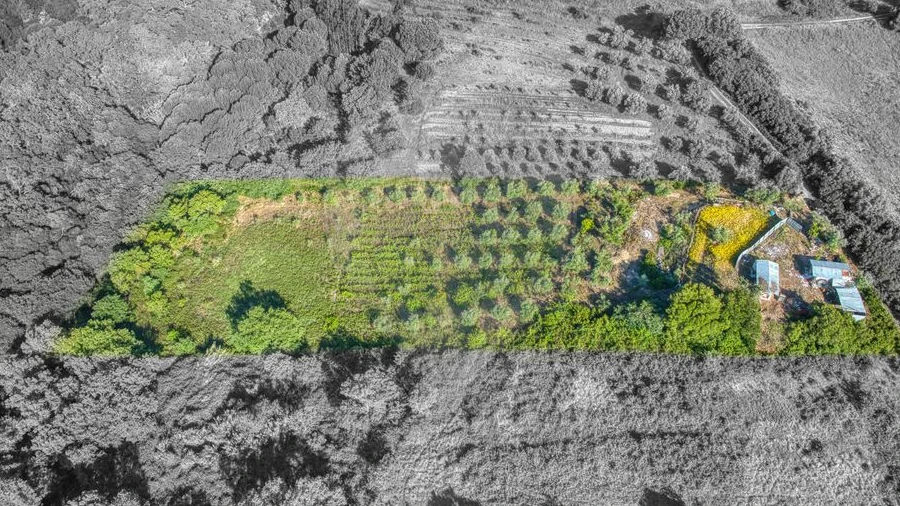 Terreno para Venda em Manique do Intendente, Vila Nova de São Pedro e Maçussa