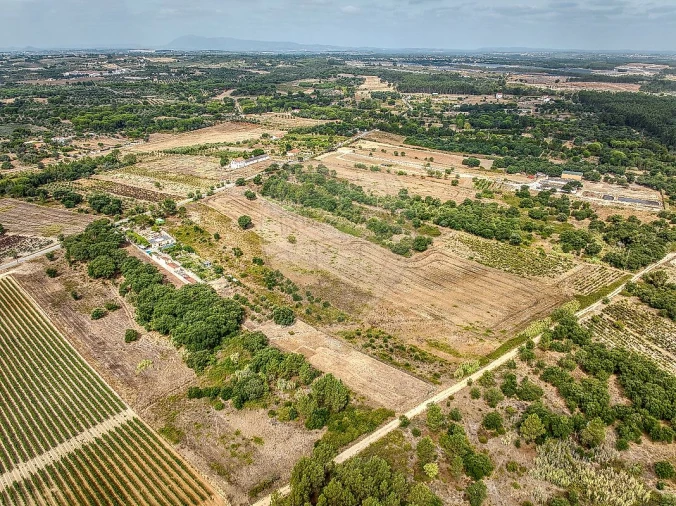 Terreno para Venda em Vila Chã de Ourique Foto 2
