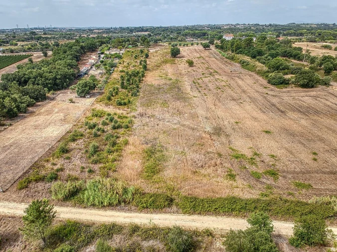 Terreno para Venda em Vila Chã de Ourique Foto 6