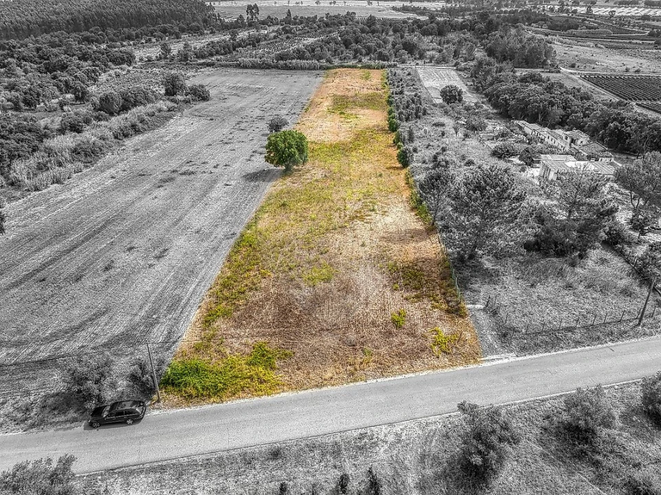 Terreno para Venda em Vila Chã de Ourique Foto 1