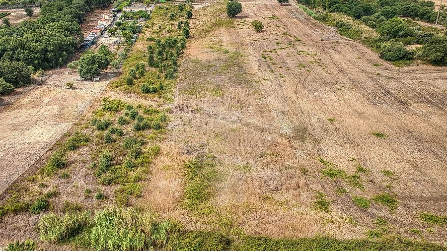 Terreno para Venda em Vila Chã de Ourique