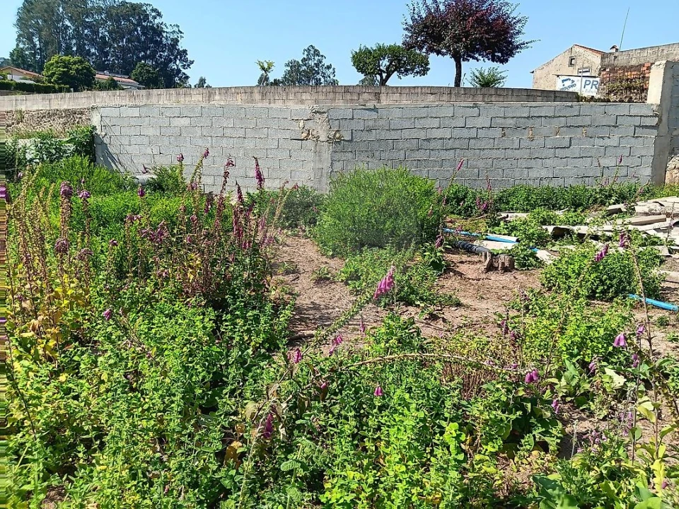 Moradia T3 para Venda em Vila de Cucujães Foto 10