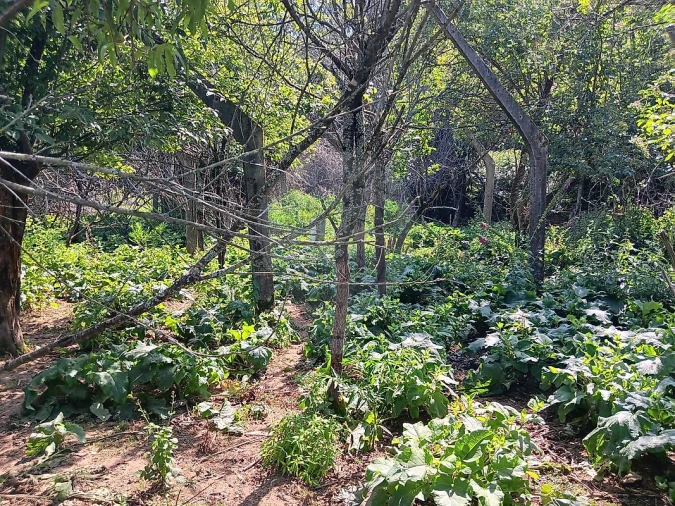 Moradia T3 para Venda em Vila de Cucujães Foto 9