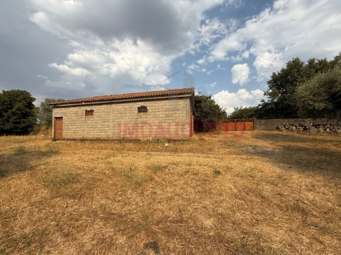 Moradia T3 para Venda em Terras de Massueime Foto 18