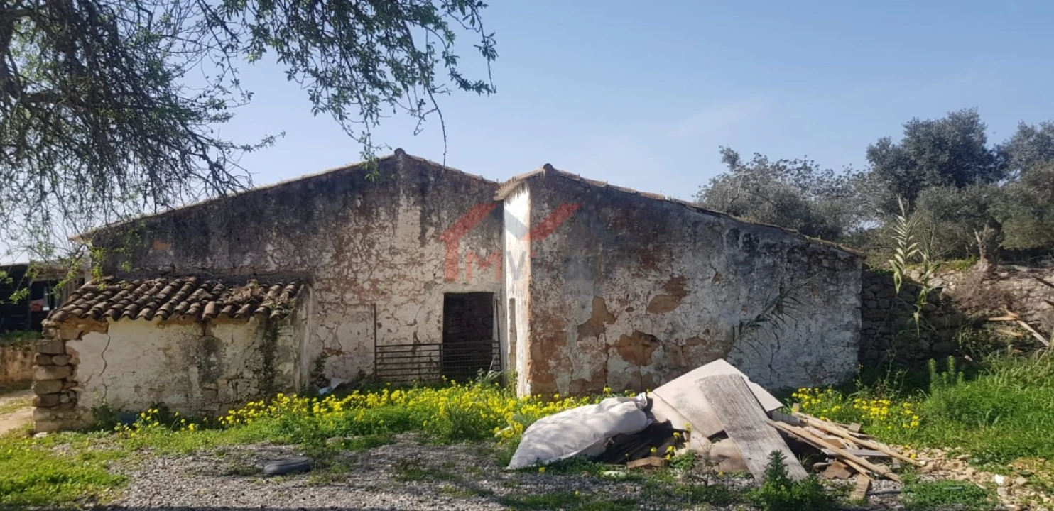 Terreno para Venda em Loule (São Clemente) Foto 1