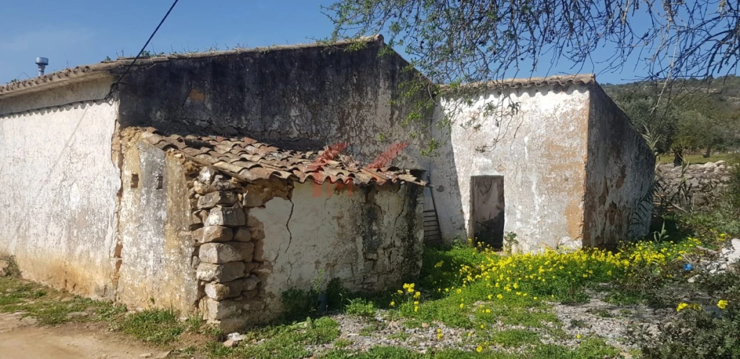 Terreno para Venda em Loule (São Clemente) Foto 2