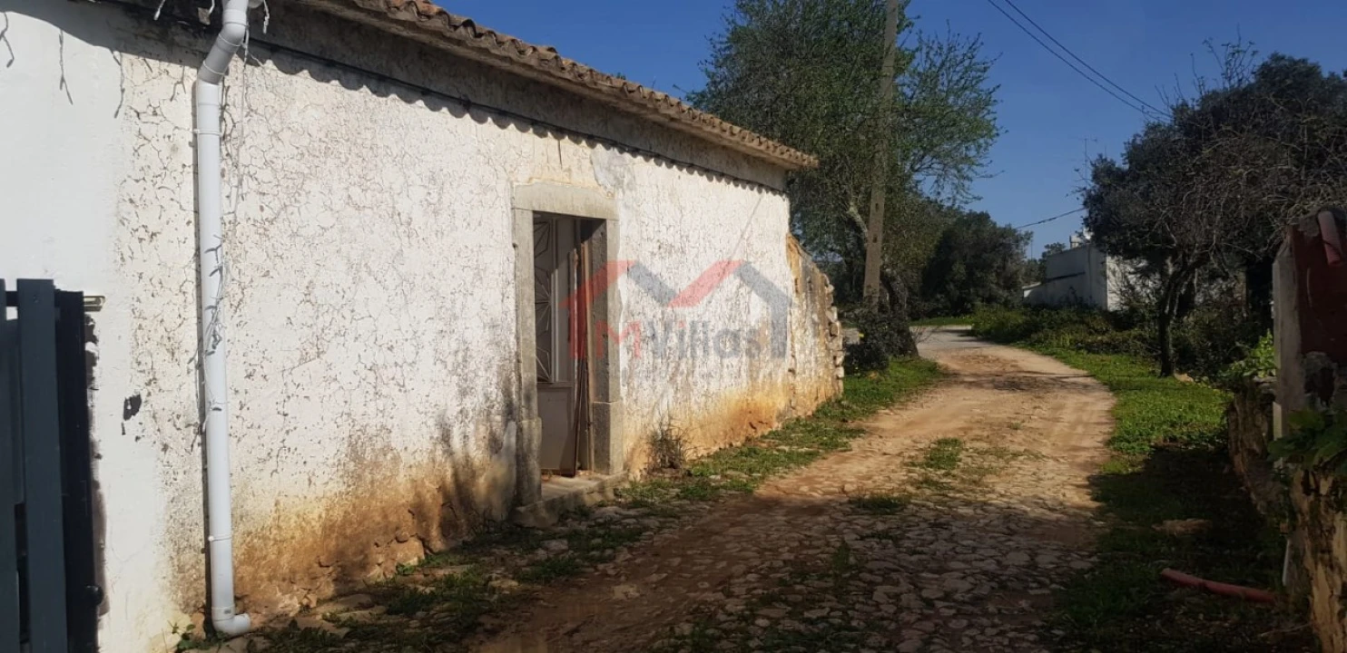Terreno para Venda em Loule (São Clemente) Foto 3