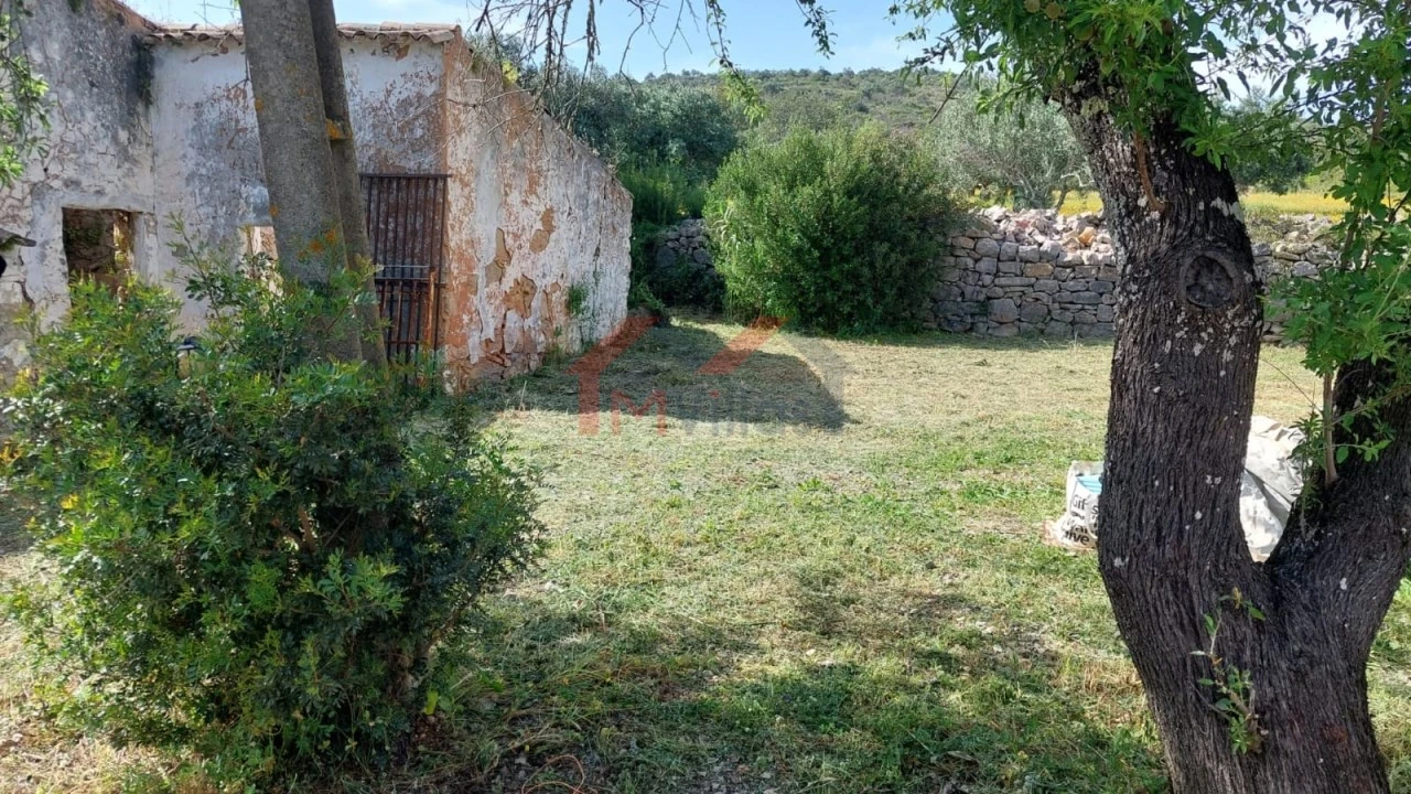 Terreno para Venda em Loule (São Clemente) Foto 4