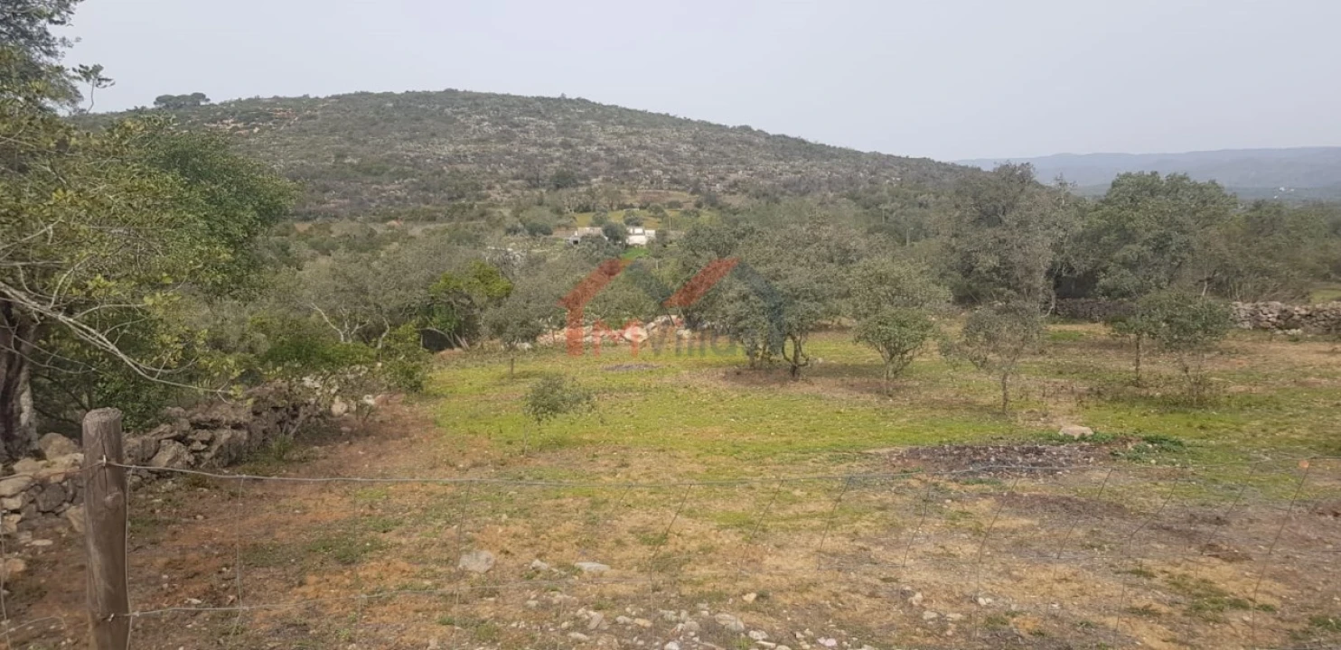 Terreno para Venda em Loule (São Clemente) Foto 6