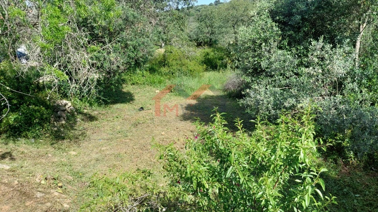 Terreno para Venda em Loule (São Clemente) Foto 7