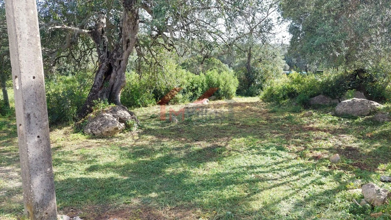 Terreno para Venda em Loule (São Clemente) Foto 8