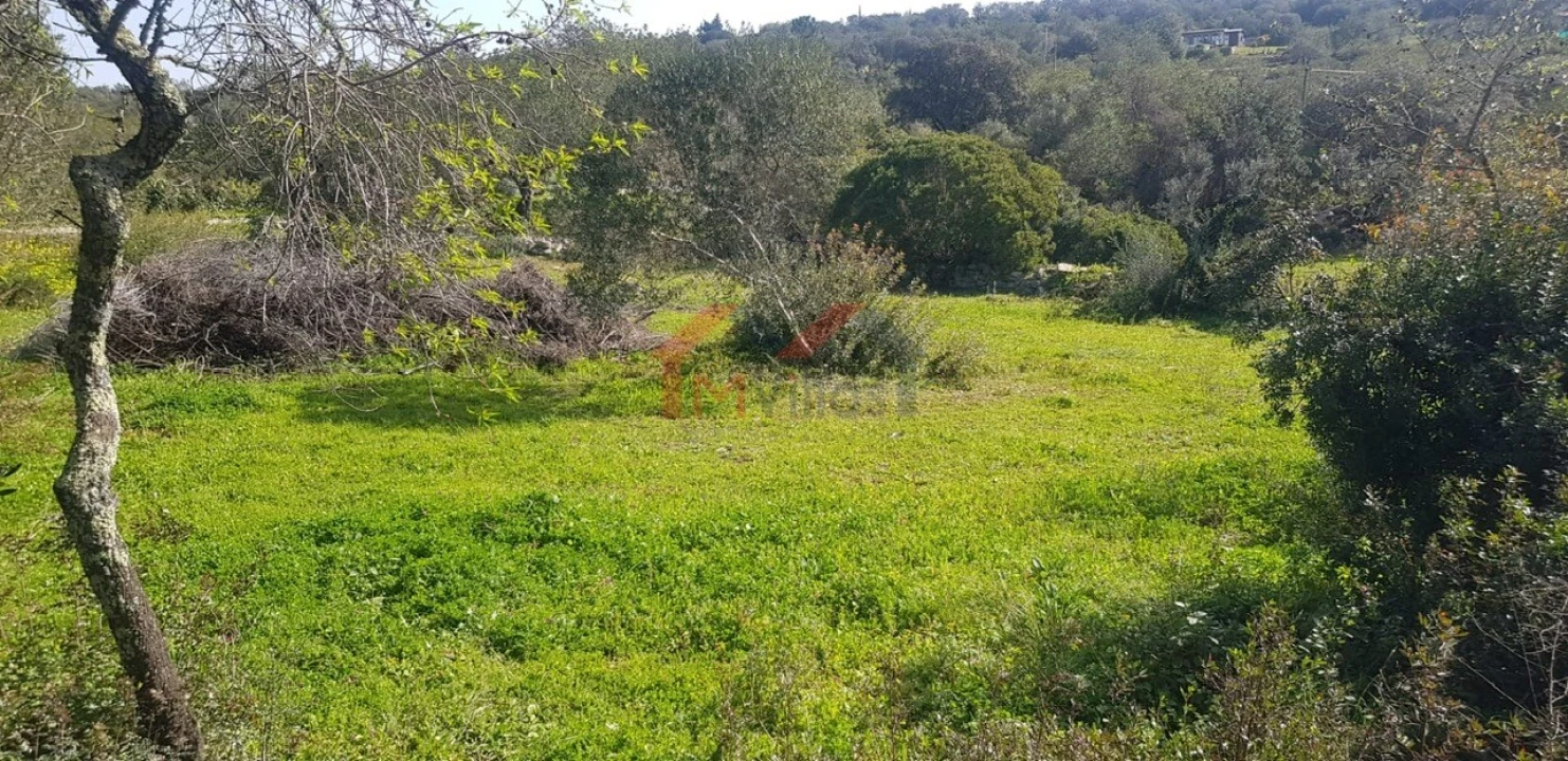 Terreno para Venda em Loule (São Clemente) Foto 9