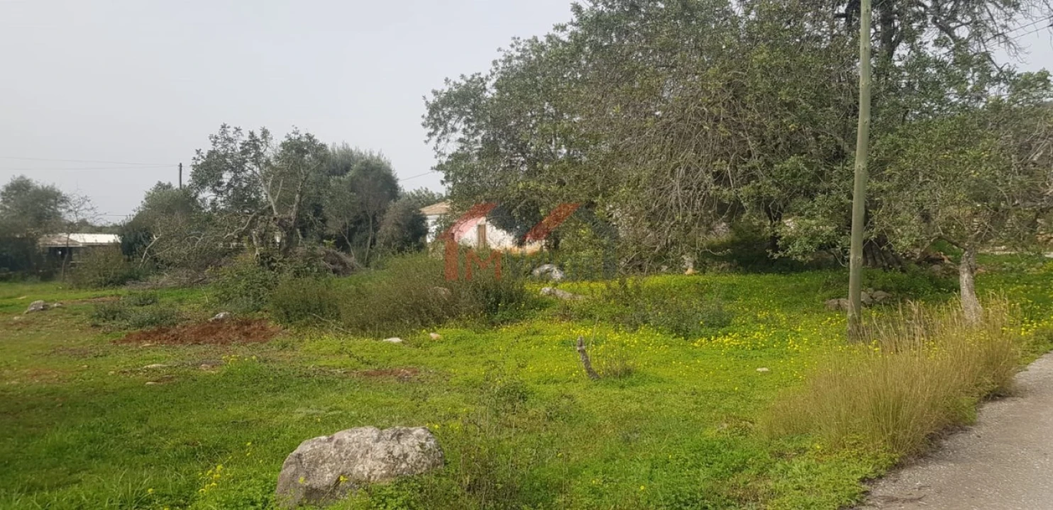 Terreno para Venda em Loule (São Clemente) Foto 10