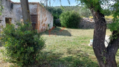 Terreno para Venda em Loule (São Clemente)