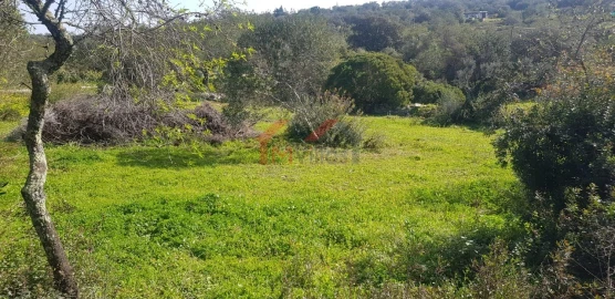 Terreno para Venda em Loule (São Clemente)