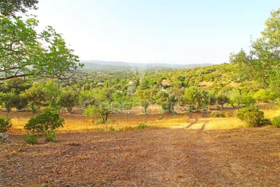 Moradia T3 para Venda em Santa Barbara de Nexe