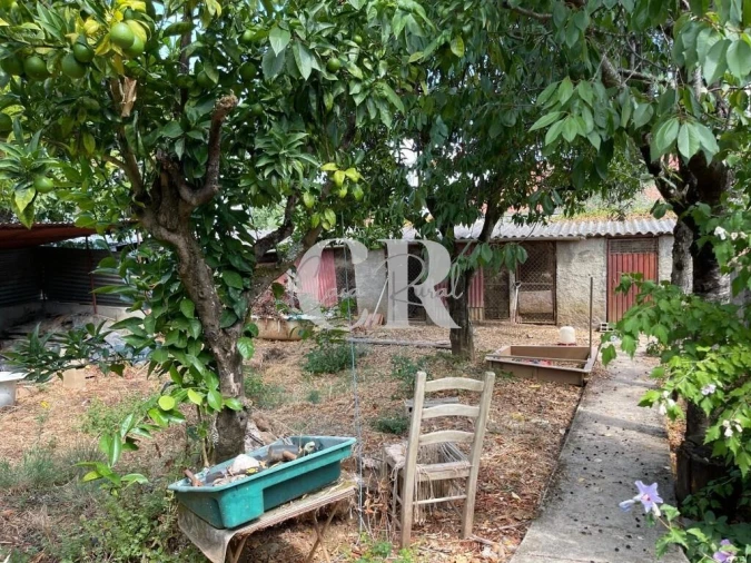 Moradia T2 para Venda em Pombeiro da Beira Foto 28