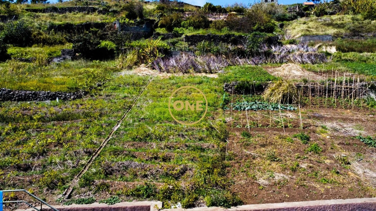 Terreno para Venda em Quinta Grande Foto 3