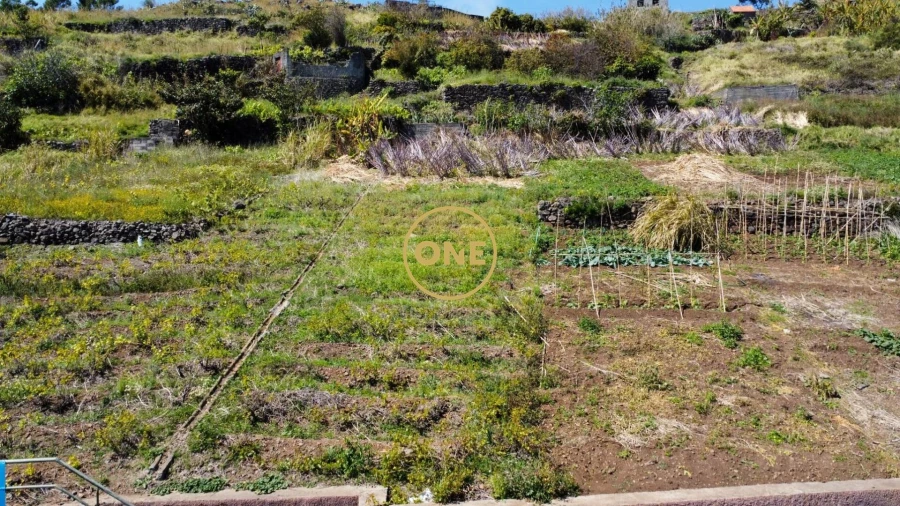 Terreno para Venda em Quinta Grande Foto 1