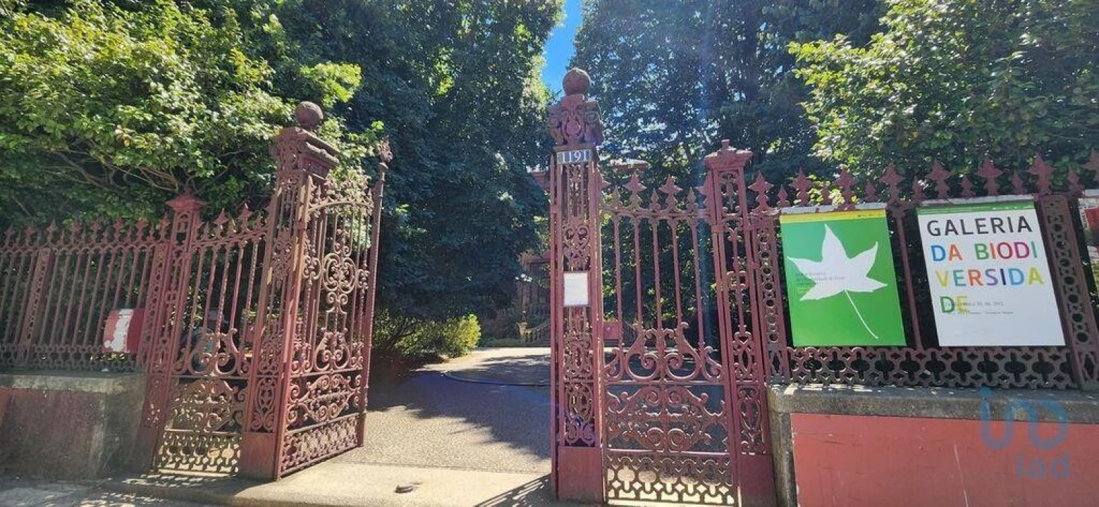 Apartamento T3 para Venda em Lordelo do Ouro e Massarelos Foto 14