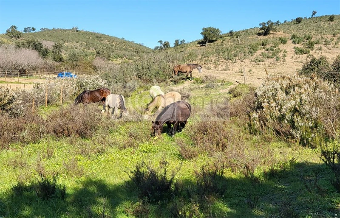 Quinta T6 para Venda em São Marcos da Serra Foto 8