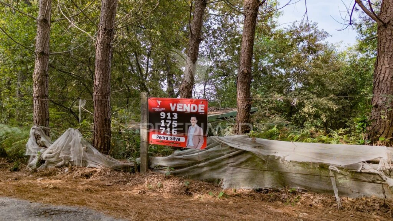 Terreno para Venda em Lage Foto 2