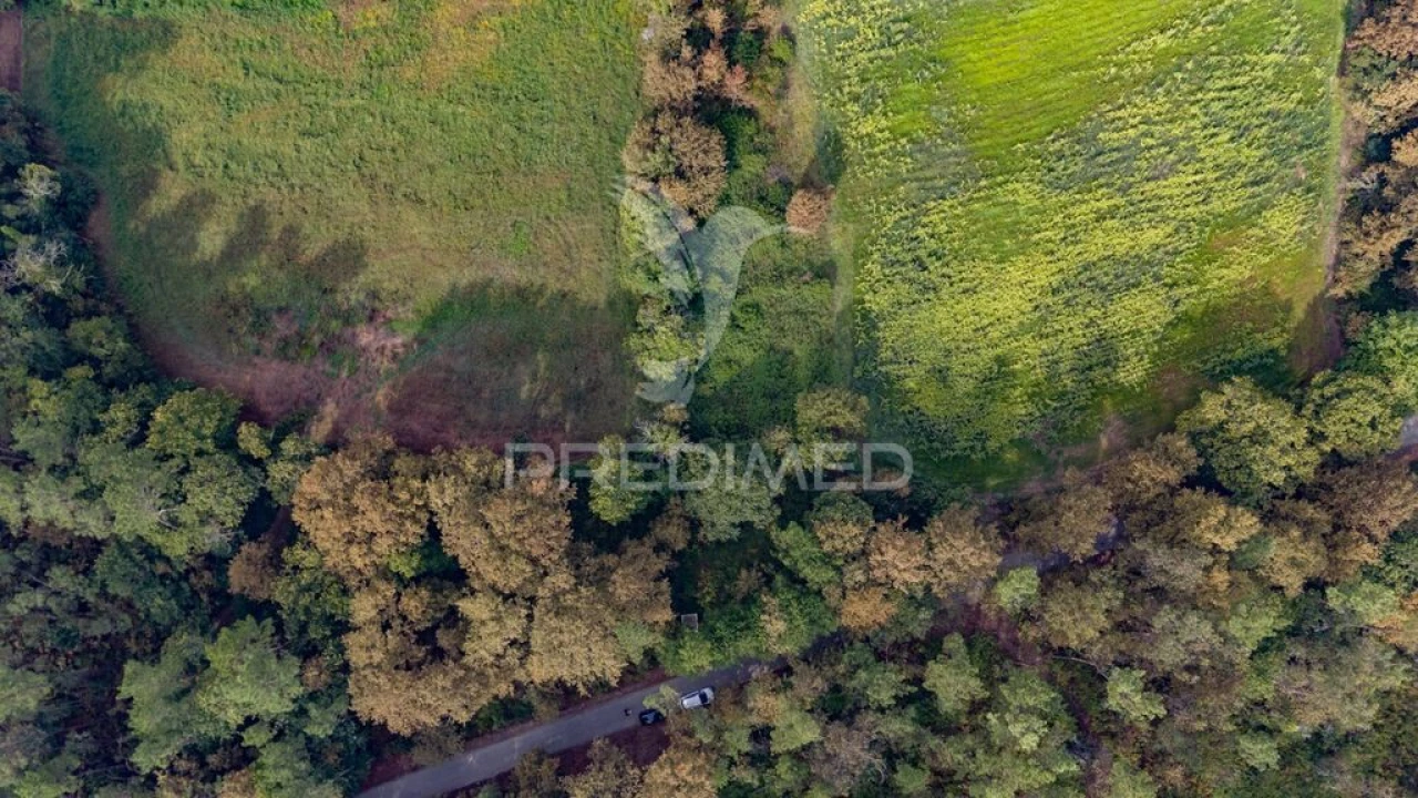 Terreno para Venda em Lage Foto 10