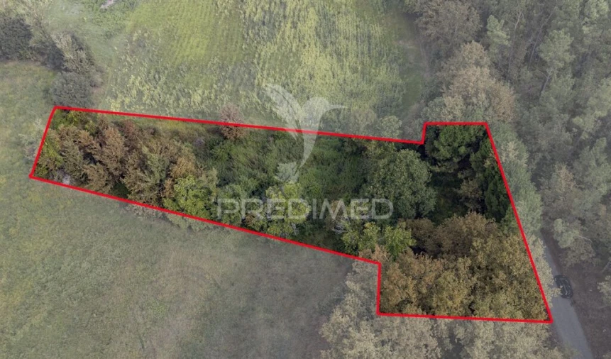 Terreno para Venda em Lage