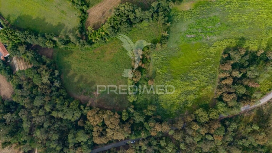 Terreno para Venda em Lage Foto 8