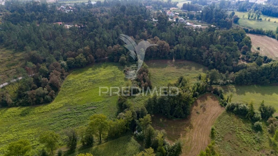 Terreno para Venda em Lage Foto 14