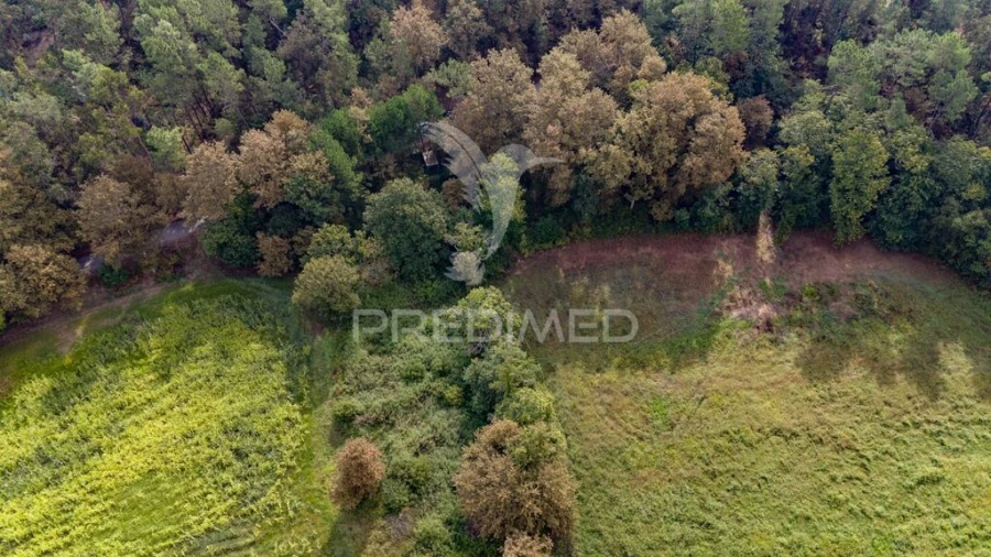 Terreno para Venda em Lage Foto 11