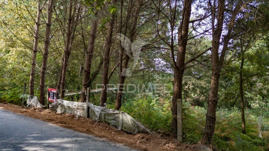 Terreno para Venda em Lage Foto 4