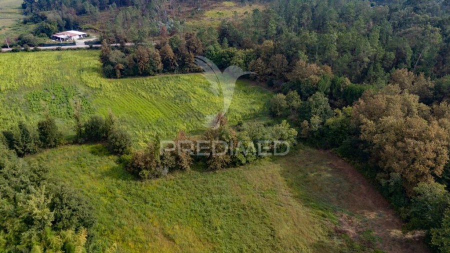 Terreno para Venda em Lage Foto 16