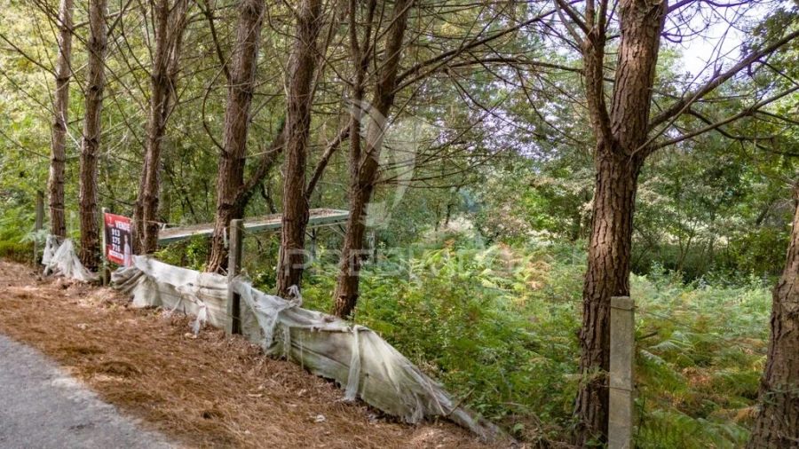 Terreno para Venda em Lage Foto 7