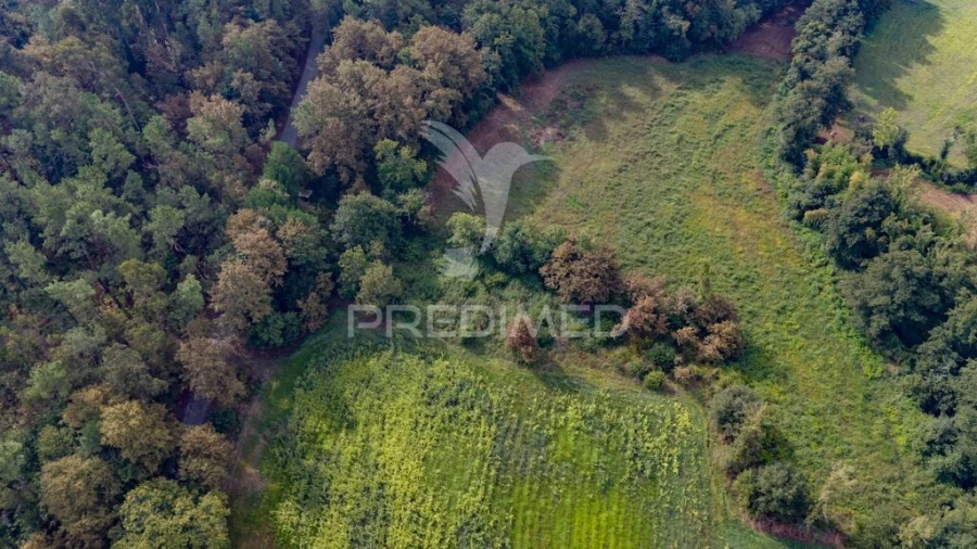 Terreno para Venda em Lage Foto 17