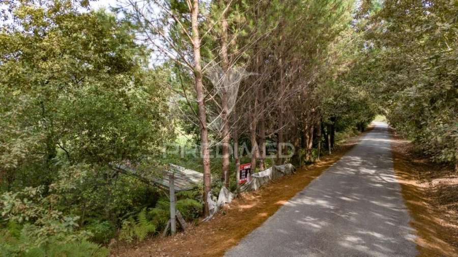 Terreno para Venda em Lage Foto 3