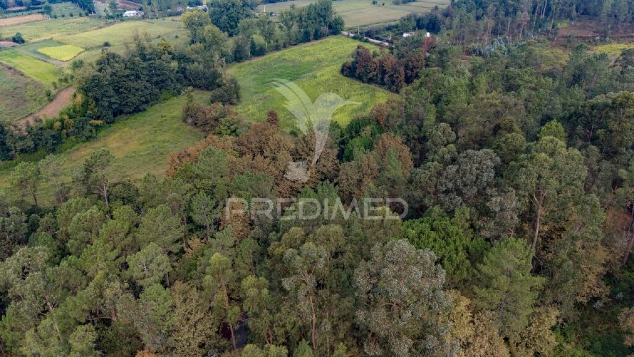 Terreno para Venda em Lage Foto 18