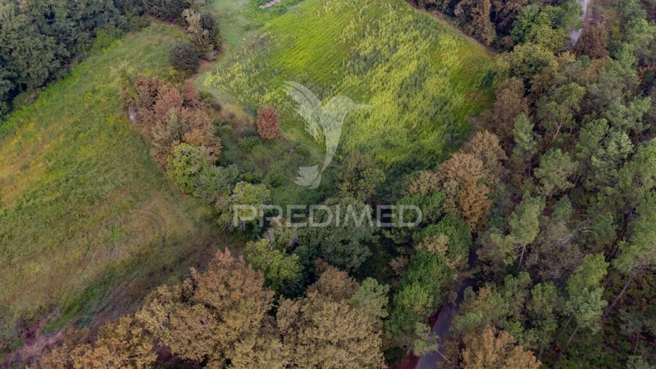 Terreno para Venda em Lage Foto 19