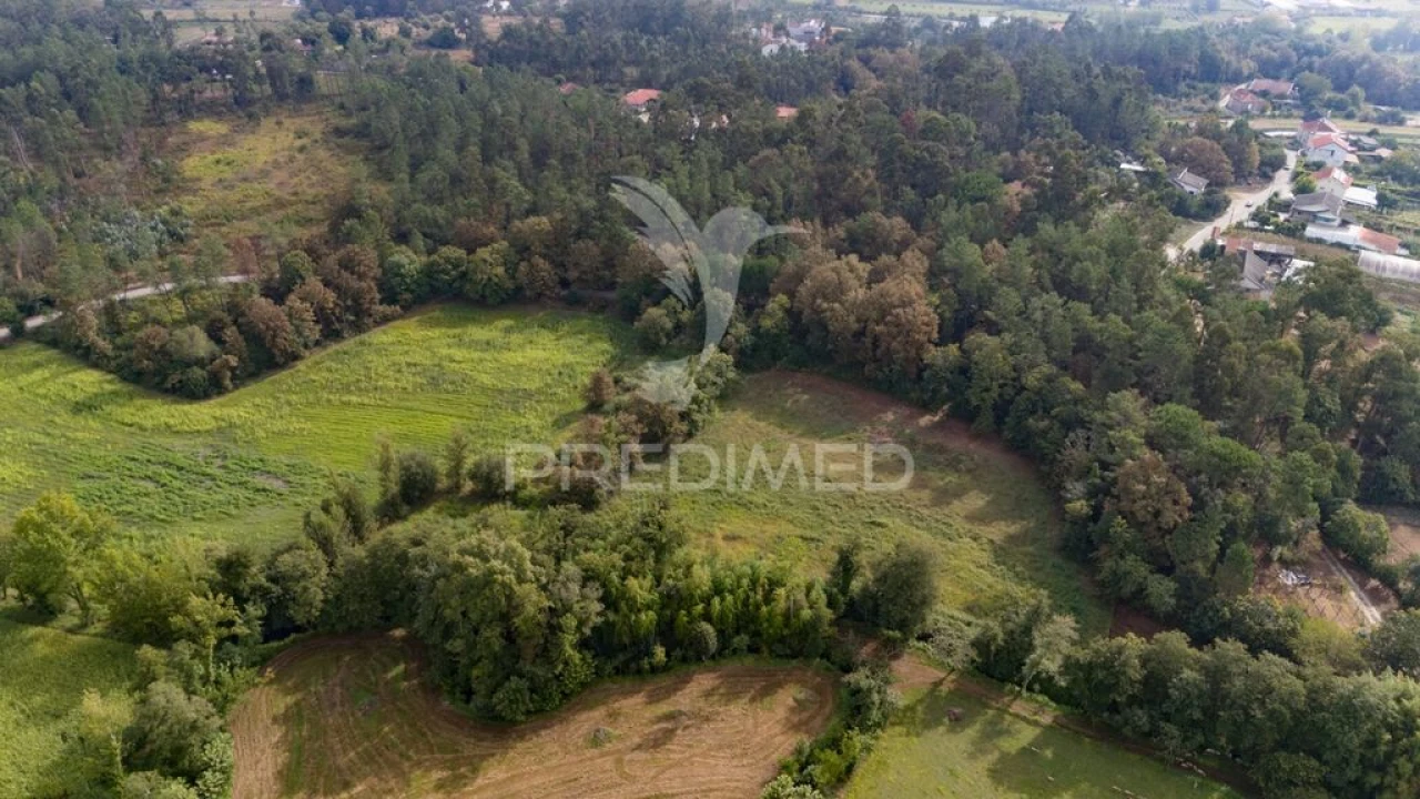 Terreno para Venda em Lage Foto 15